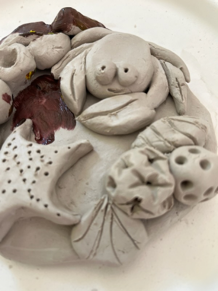 ** NEW ** 3D Rock Pools - Half Day Workshop | 2-5pm - Banner - 1667185852