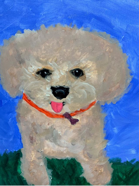 Pet & Animal Portraits - Half Day Workshop | 2-5pm - Banner - 1655774107