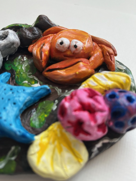 ** NEW ** 3D Rock Pools - Half Day Workshop | 2-5pm - Banner - 1667185842