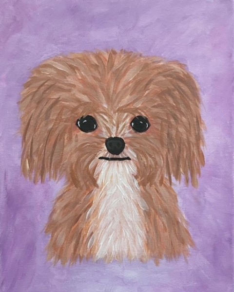 Pet & Animal Portraits - Full Day Workshop | 9am-3pm - Main Banner