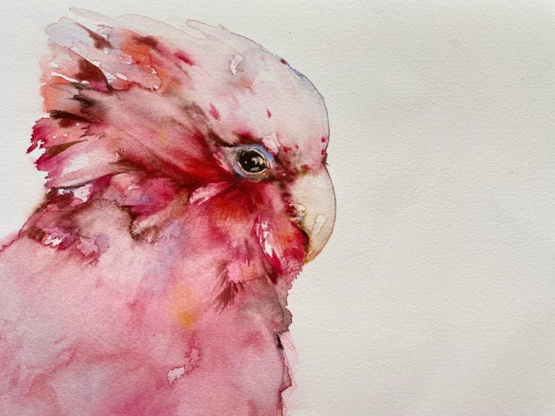 Watercolour Birds | Half Day Workshop | 2pm-5pm - Banner - 1685193217