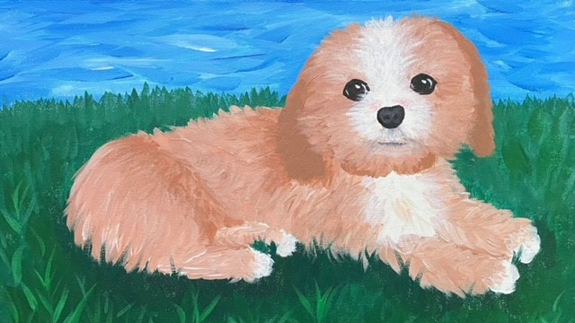 Pet & Animal Portraits - Full Day Workshop | 9am-3pm - Banner - 1653284395