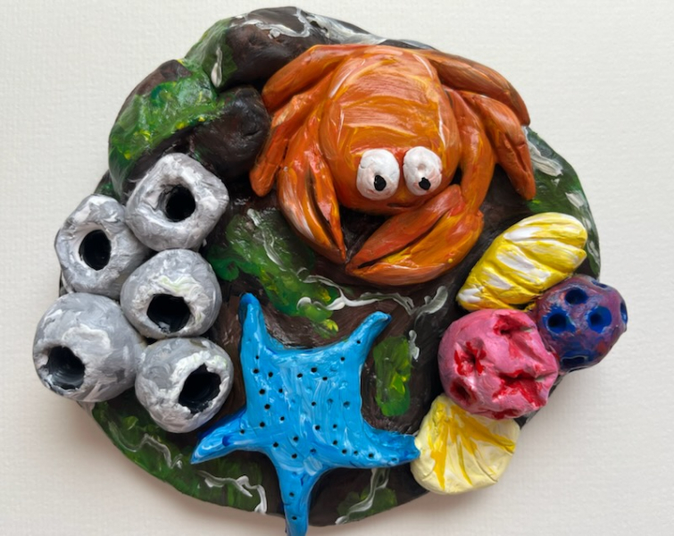 ** NEW ** 3D Rock Pools - Half Day Workshop | 2-5pm - Main Banner