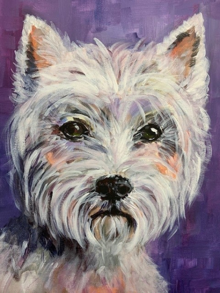 Pet & Animal Portraits - Half Day Workshop | 2-5pm - Main Banner